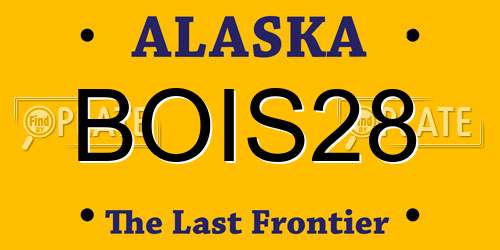 BOIS28 Alaska License Plate