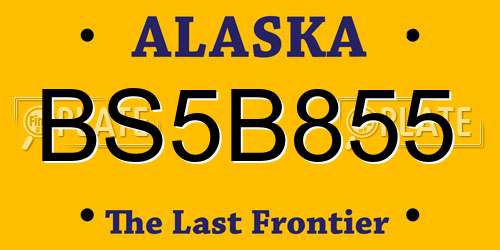 BS5B855 Alaska License Plate
