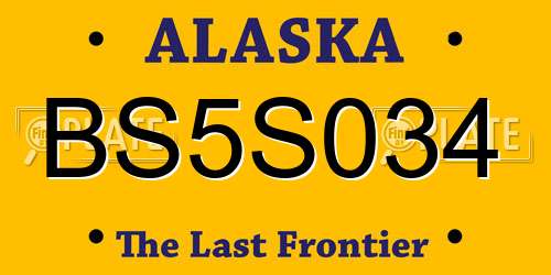 BS5S034 Alaska License Plate