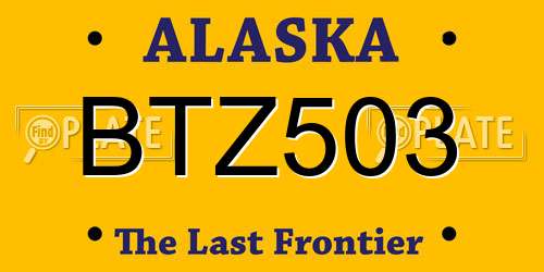 BTZ503 Alaska License Plate