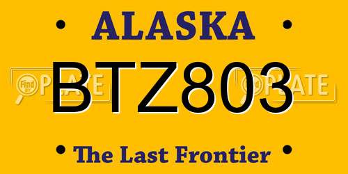 BTZ803 Alaska License Plate