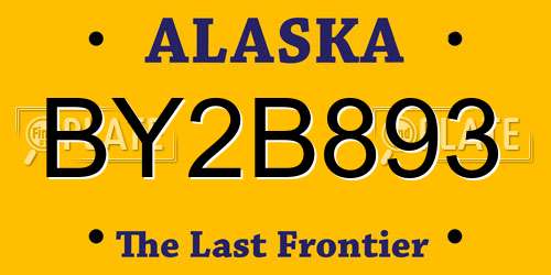 BY2B893 Alaska License Plate