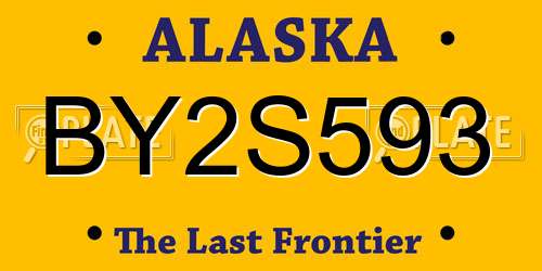 BY2S593 Alaska License Plate