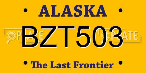 BZT503 Alaska License Plate