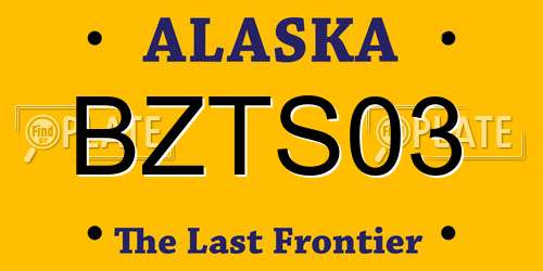 BZTS03 Alaska License Plate