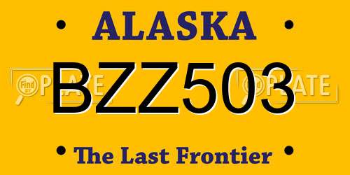 BZZ503 Alaska License Plate