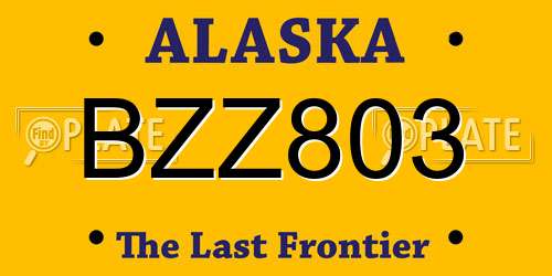 BZZ803 Alaska License Plate