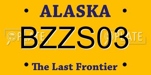 BZZS03 Alaska License Plate