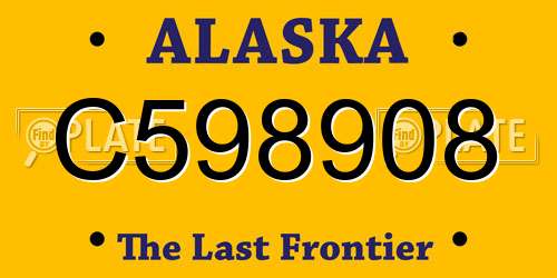 C598908 Alaska License Plate