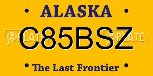 C85BSZ Alaska License Plate
