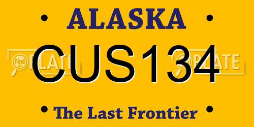 CUS134 Alaska License Plate