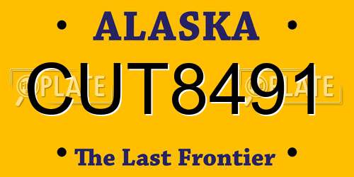 CUT8491 Alaska License Plate
