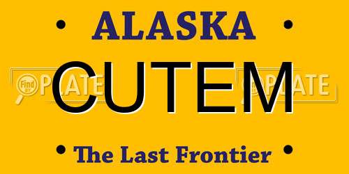 CUTEM Alaska License Plate
