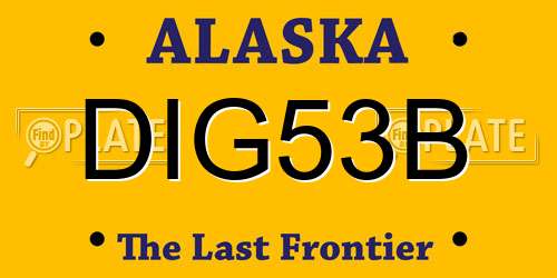 DIG53B Alaska License Plate