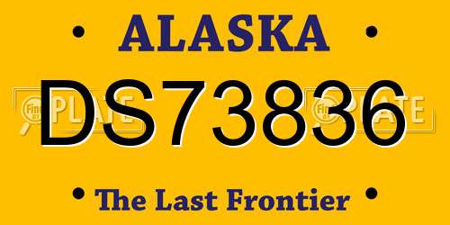 DS73836 Alaska License Plate