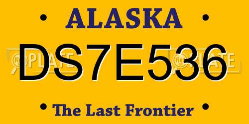 DS7E536 Alaska License Plate
