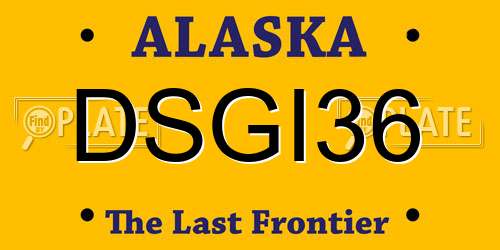 DSGI36 Alaska License Plate