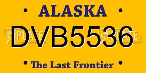 DVB5536 Alaska License Plate