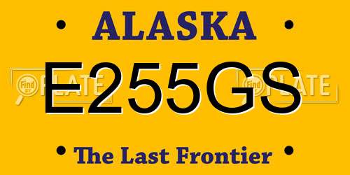 E255GS Alaska License Plate