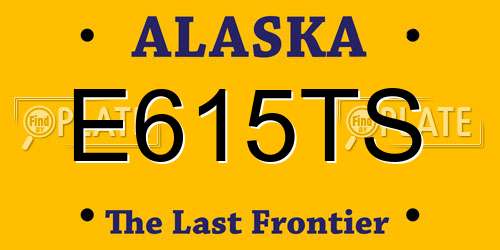 E615TS Alaska License Plate