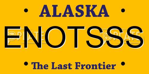 ENOTSSS Alaska License Plate