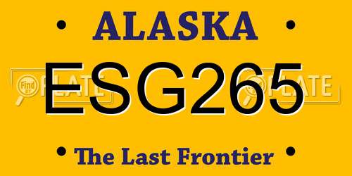 ESG265 Alaska License Plate