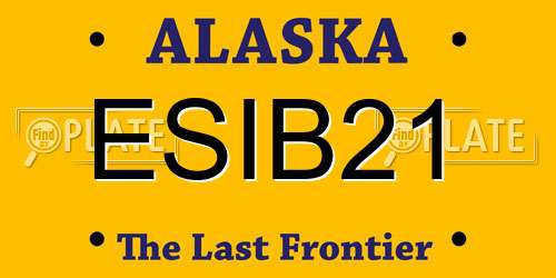 ESIB21 Alaska License Plate