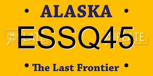 ESSQ45 Alaska License Plate