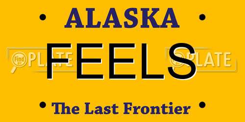 FEELS Alaska License Plate