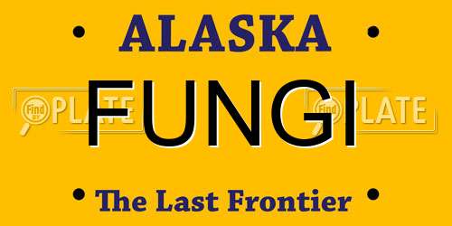 FUNGI Alaska License Plate