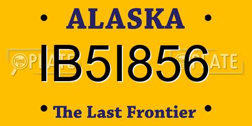 IB5I856 Alaska License Plate