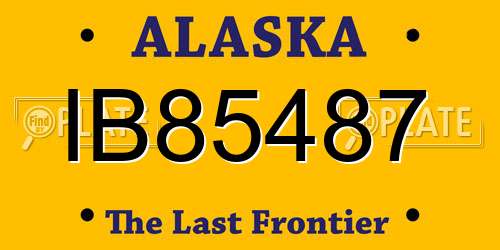 IB85487 Alaska License Plate