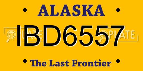 IBD6557 Alaska License Plate