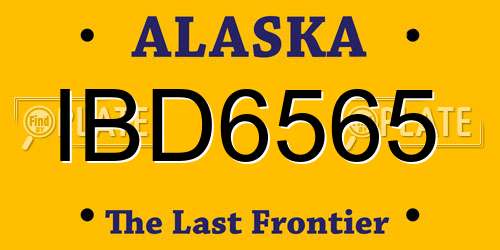 IBD6565 Alaska License Plate