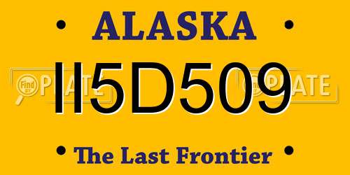 II5D509 Alaska License Plate