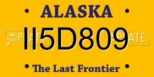 II5D809 Alaska License Plate