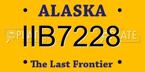 IIB7228 Alaska License Plate