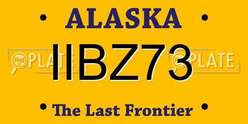 IIBZ73 Alaska License Plate