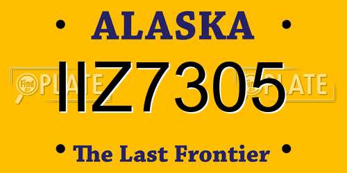 IIZ7305 Alaska License Plate