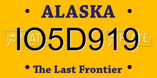 IO5D919 Alaska License Plate