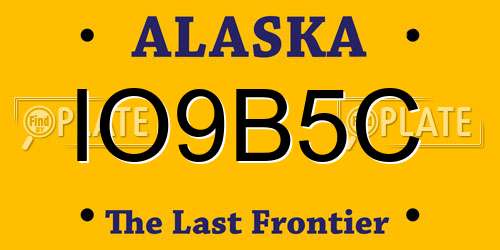 IO9B5C Alaska License Plate