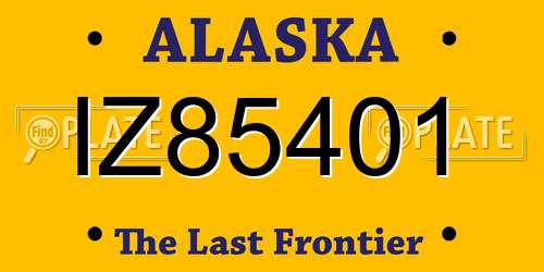 IZ85401 Alaska License Plate
