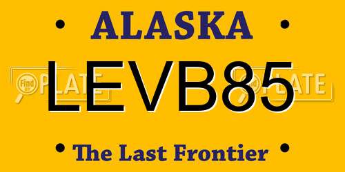LEVB85 Alaska License Plate