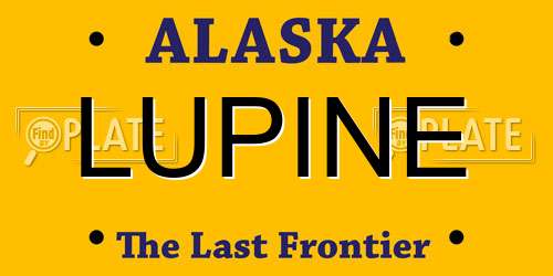 LUPINE Alaska License Plate