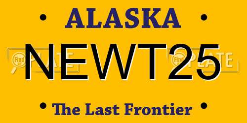 NEWT25 Alaska License Plate