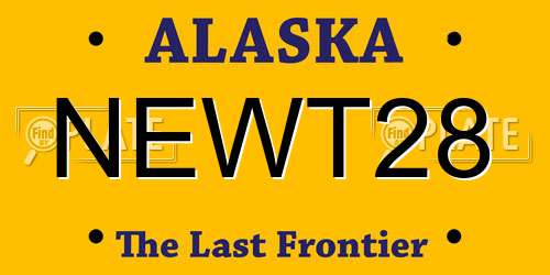 NEWT28 Alaska License Plate