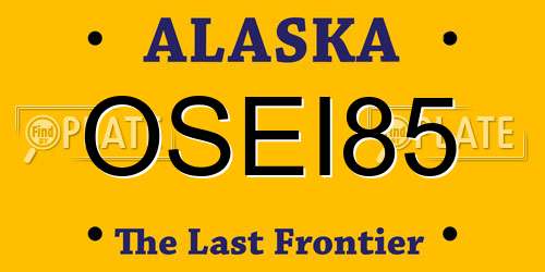 OSEI85 Alaska License Plate