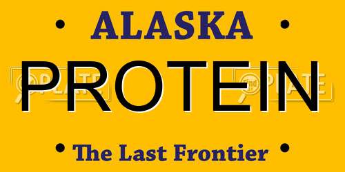 PROTEIN Alaska License Plate