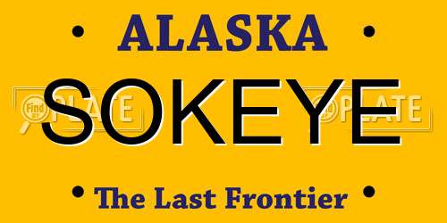 SOKEYE Alaska License Plate