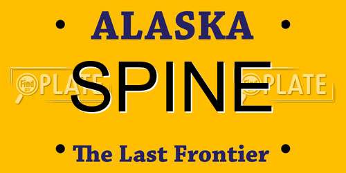 SPINE Alaska License Plate